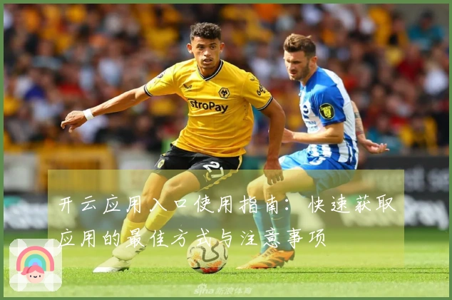 开云应用入口使用指南:快速获取应用的最佳方式与注意事项