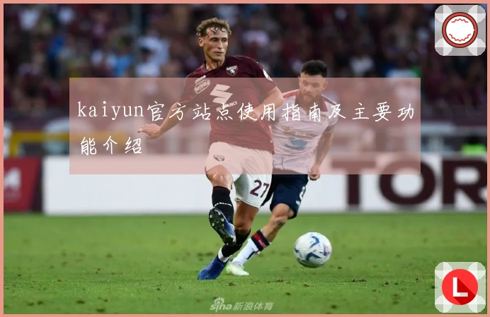 kaiyun官方站点使用指南及主要功能介绍