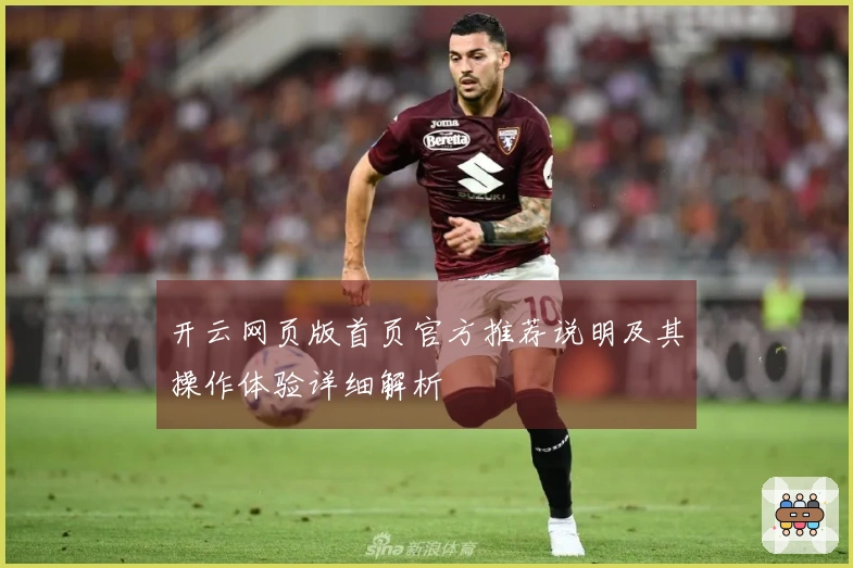 开云网页版首页官方推荐说明及其操作体验详细解析